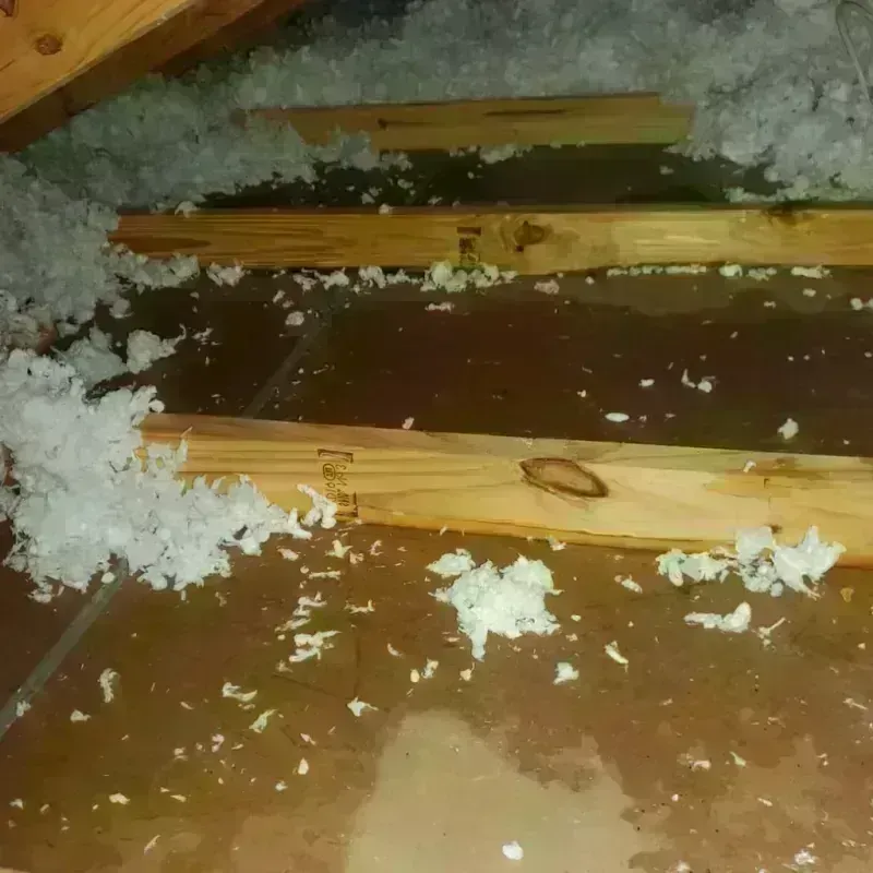 Attic Water Damage in Thornport, OH